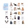 Cajita de Stickers Gatitos Diario