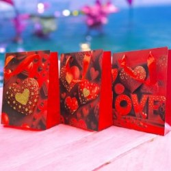 Bolsa de Regalo Corazones Moño Grande Boutique
