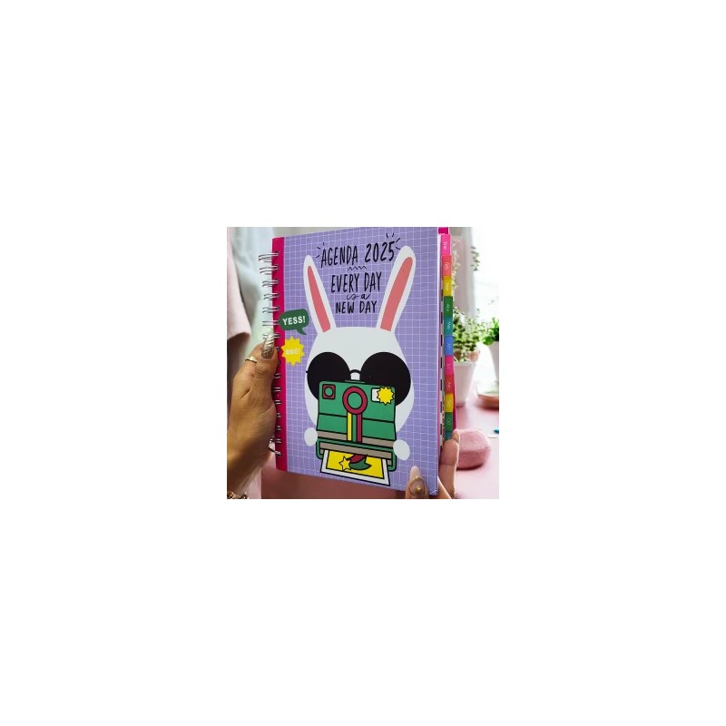 Agenda 2025 Pasta Dura Grande Completa Con Separadores Conejo Kawaii 2025 YC012271