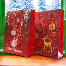 Bolsa de Regalo Mediana de Papel