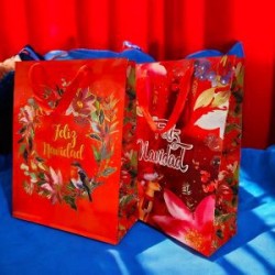 Bolsa de Regalo Ventana San Valentin Chica