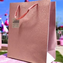 Bolsa en forma de Telefono Mini Crossbody con Cadena Dama