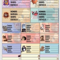 Planilla con 25 Etiquetas Escolares de Materias Tamaño Carta Gatos Memes