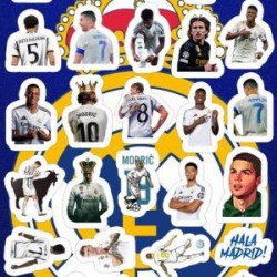 Planilla con 29 Stickers Cortados con Laser Real
